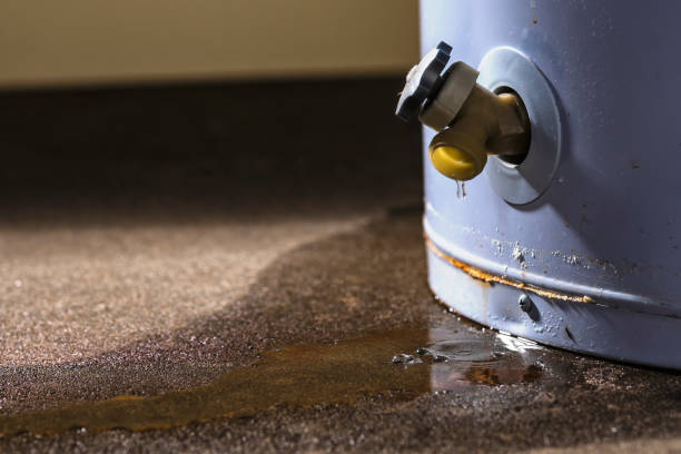 Best Commercial water damage restoration  in Refugio, TX