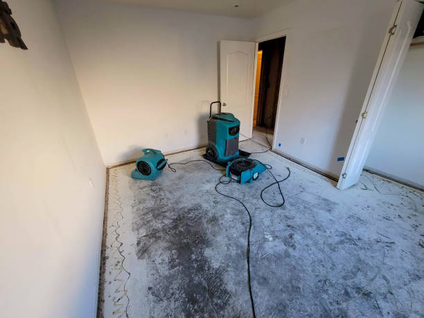 Best Water damage restoration near me  in Refugio, TX
