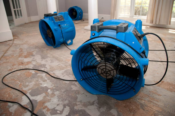 Best Emergency water damage restoration  in Refugio, TX